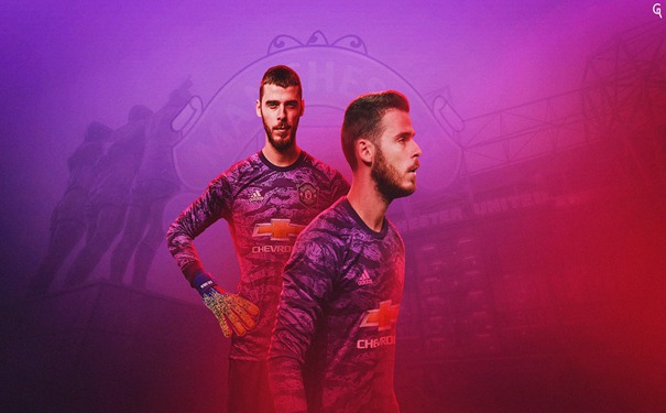 11月30日 NBA常规赛 猛龙vs黄蜂 全场录像回放